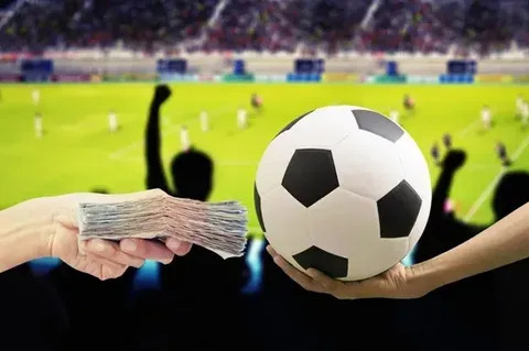 coelho puxa o quê no jogo do bicho 