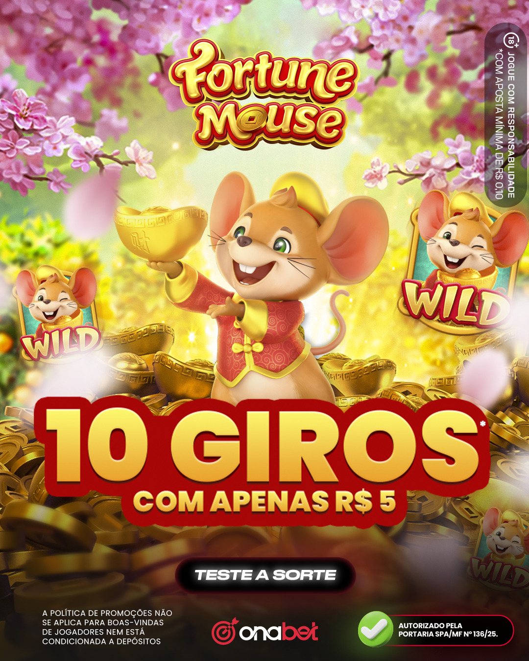 como ver minhas apostas na stake 