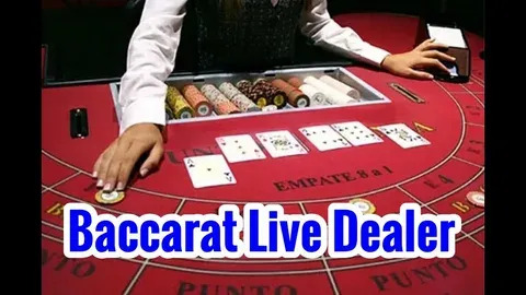 melhor horário para jogar fortune rabbit 2024 
